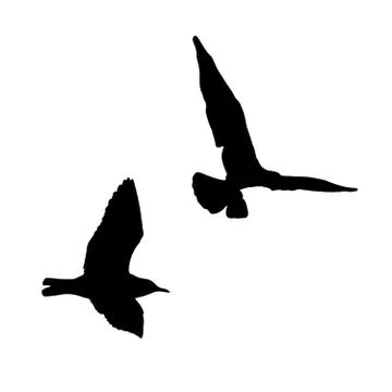 Vector set - seagull silhouette on white background collection Stock Illustration