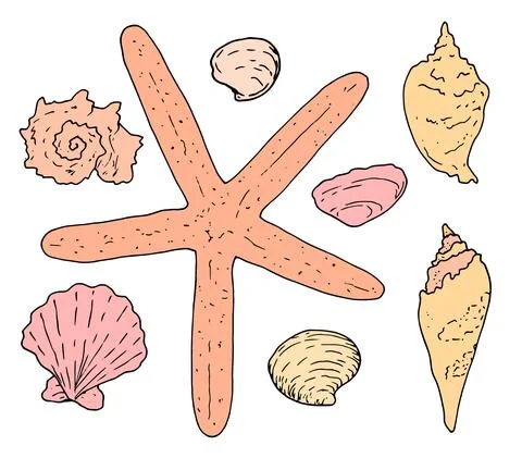 Vector set of seashells and starfish in beautiful warm orange sand summer colors Stock Illustration
