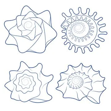 Vector set of seashells. Isolated objects on white. Stock Illustration