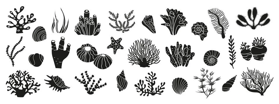 Vector set with seaweeds, corals and seashells Stock Illustration