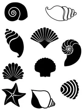 Vector Set Shells Stock Illustration