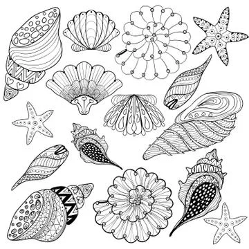 Vector set Shells, zentangle seashells for adult anti stress Col 스톡 일러스트