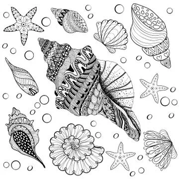 Vector set Shells, zentangle seeshell for adult anti stress Colo Stock-Illustration