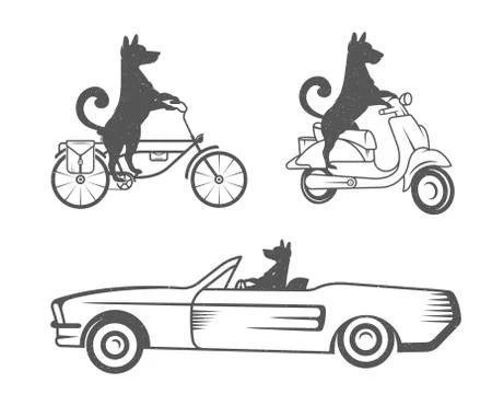 Vector set sign dog 스톡 일러스트