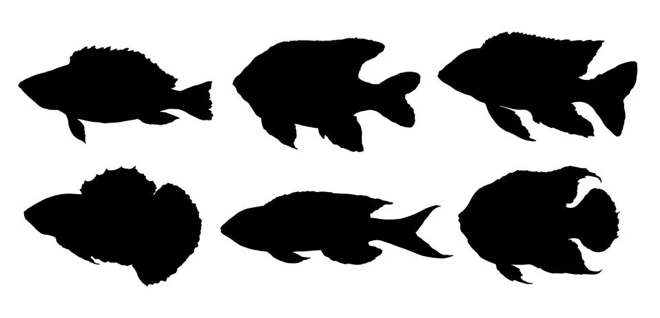 Vector set of silhouettes of black fish of different shapes, drawn by hand Stock Illustration