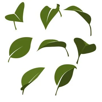 Vector set of simple leaves in a modern style. Illustrazione stock