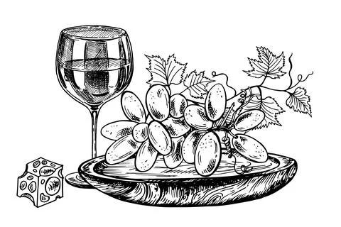 Vector set of sketches of beverage and food on a white background. Wine glass Stock Illustration