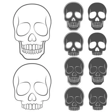 Vector set of skulls. Isolated objects. Stock-Illustration