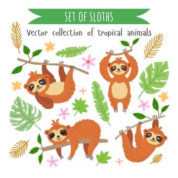 Vector set of sloths isolated on white Stock Illustration