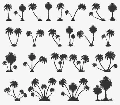 Vector set of solar palm beach in a dark color Illustrazione stock