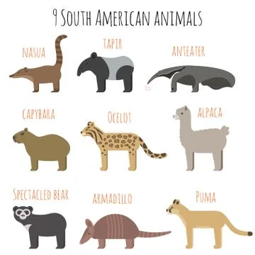 Vector set of South American animals icons. Stock Illustration