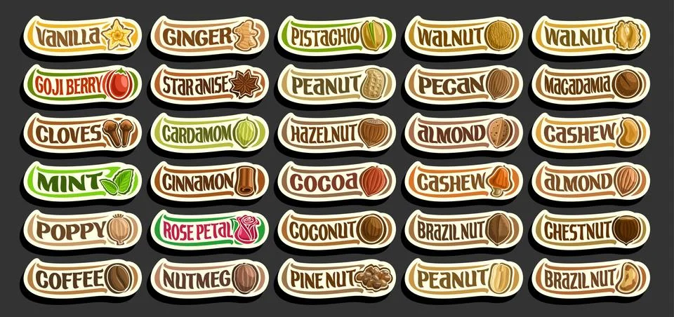 Vector set of Spices and Nuts Stock Illustration