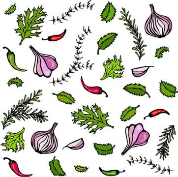 Vector Set of Spices and Vegetables. Red Onion, Garlic Clove, Parsley, Thyme Stock Illustration