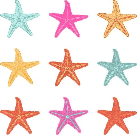 Vector set of starfish in different colors Stock Illustration