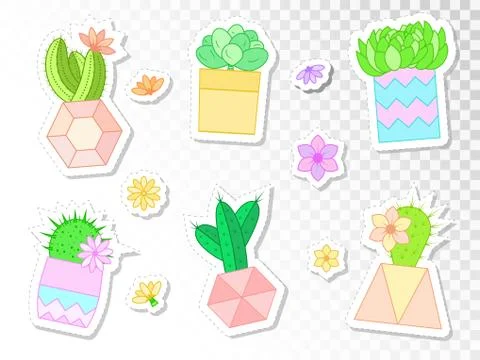 Vector set of stickers with cacti and succulents in flower pots. Stock Illustration