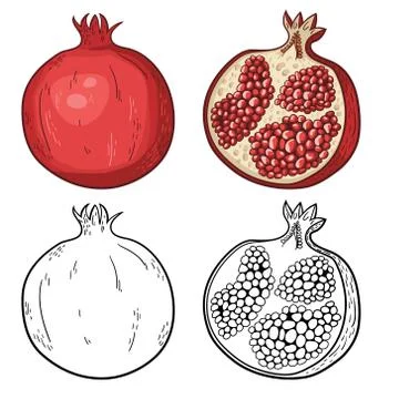 Vector set of sweet cut and sliced pomegranates. Black and white and colorful Stock Illustration