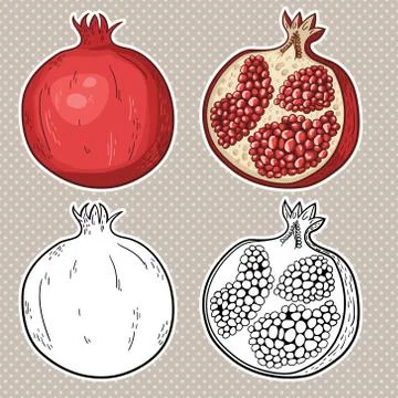 Vector set of sweet cut and sliced pomegranates. Black and white and colorful Stock Illustration