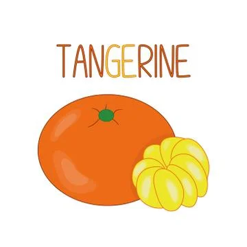 Vector set with tangerines isolated on white background. Stock Illustration