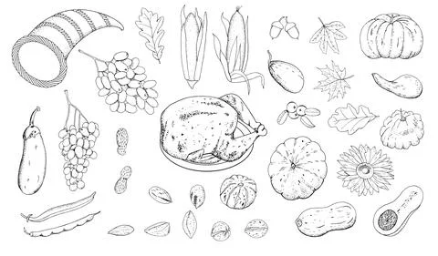 Vector set for Thanksgiving Day, hand-drawn outline of the shape isolate on a Stock Illustration