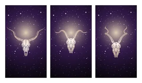 Vector set of three illustrations with silhouettes skulls antelopes and goat  Stock Illustration