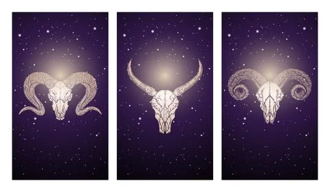 Vector set of three illustrations with silhouettes skulls buffalo and rams ag Stock Illustration