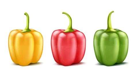 Vector set of three realistic bell peppers Stock-Illustration