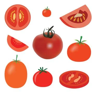 Vector set of tomato on the white background Stock Illustration