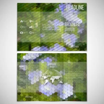 Vector set of tri-fold brochure design template on both sides. Blue flowers in 스톡 일러스트