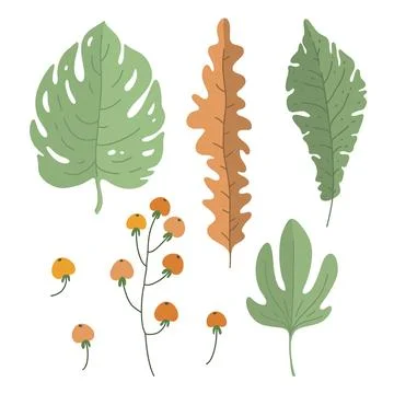 Vector set tropic leaves. Herbarium, berry, branch Stock Illustration