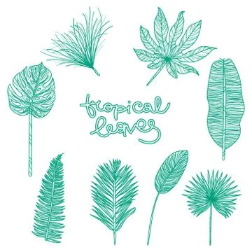 Vector set of tropical green leaves. Stock Illustration