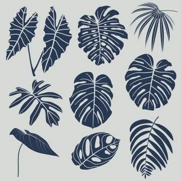 Vector set of tropical leaves. Stock Illustration
