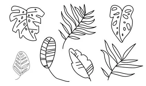 The vector set tropical leaves monsters, banana, palm trees,calathea. Stock Illustration