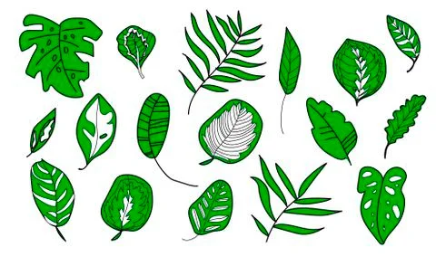 The vector set tropical leaves monsters, banana, palm trees,calathea. Stock Illustration