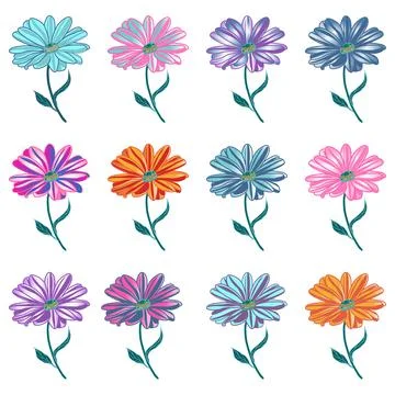 Vector set of twelve stylized osteospermum flowers in multicolored colors Stock Illustration