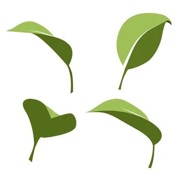 A vector set of two-color leaves in a minimalist flat style. Stock Illustration