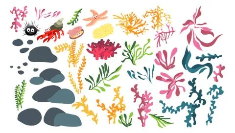 Vector set with underwater ocean corals, algae and marine life Stock Illustration