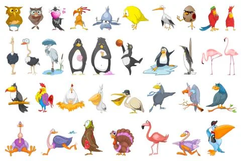 Vector set of various birds illustrations Stock Illustration