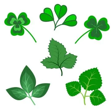Vector set of various green trefoil leaves isolated Stock Illustration