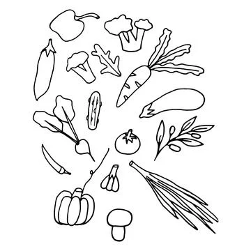 Vector set of vegetables in doodle style Stock Illustration