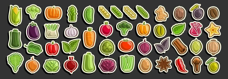 Vector set of Vegetables Stock Illustration