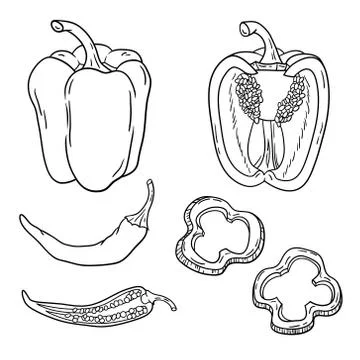 Vector set with vegetables: peppers isolated on white Stock Illustration