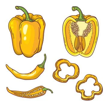 Vector set with vegetables: peppers isolated on white Illustrazione stock