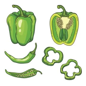 Vector set with vegetables: peppers isolated on white Stock Illustration