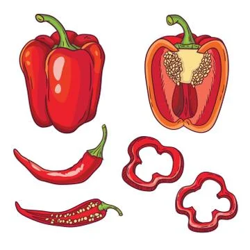 Vector set with vegetables: peppers isolated on white Stock Illustration