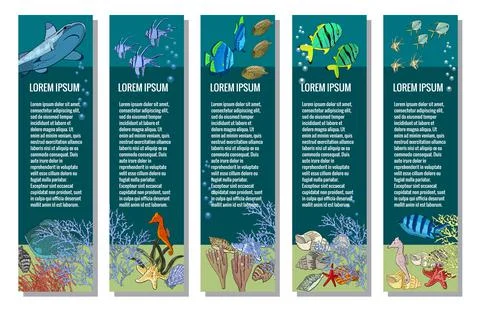 Vector set of vertical banners. Underwater ocean creatures. Stock Illustration