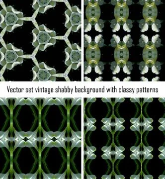 Vector set vintage background classical patterns Stock Illustration