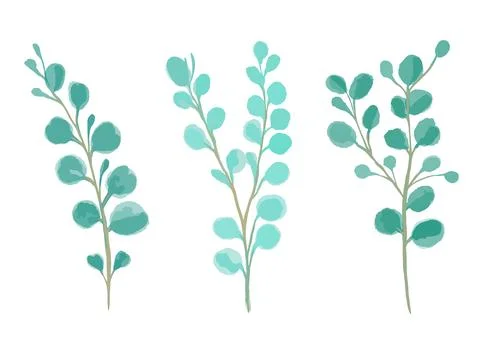 Vector set of watercolor sprigs of round-leaved green eucalyptus. Stock Illustration
