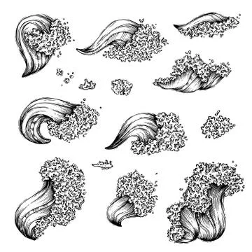 Vector set of waves sketch. Stock Illustration
