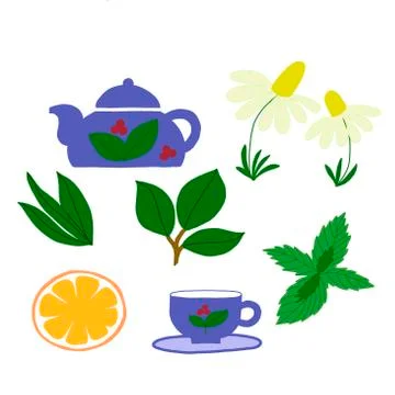 Vector set on a white background of a cup, teapot, tea leaves, mint and Stock Illustration