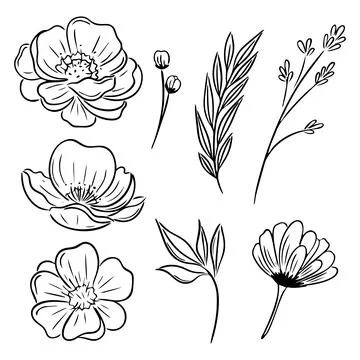 Vector set of wild flowers in black outline style. Line drawing. Botanical .. Stock Illustration